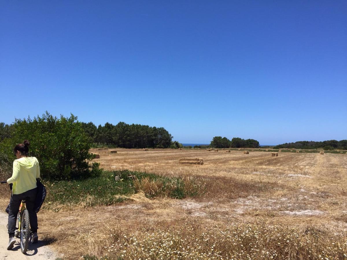 Casinha Da Cabra, Casas Do Poente, Rogil, Aljezur Villa Exteriör bild